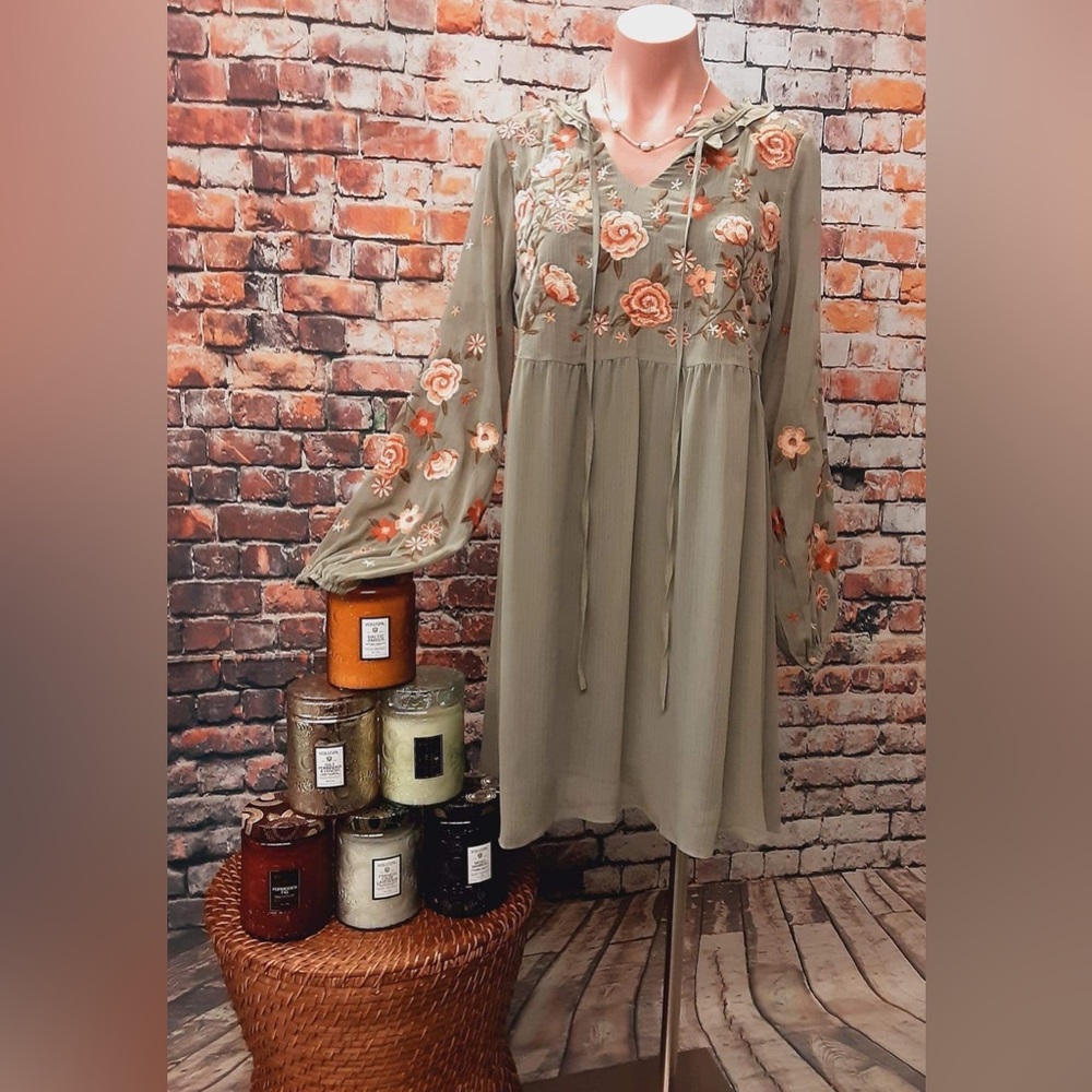 NWT Splendora Embroidery Dress Olive